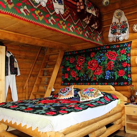 Hotel Vadul Lupilor Moisei Pokój zdjęcie