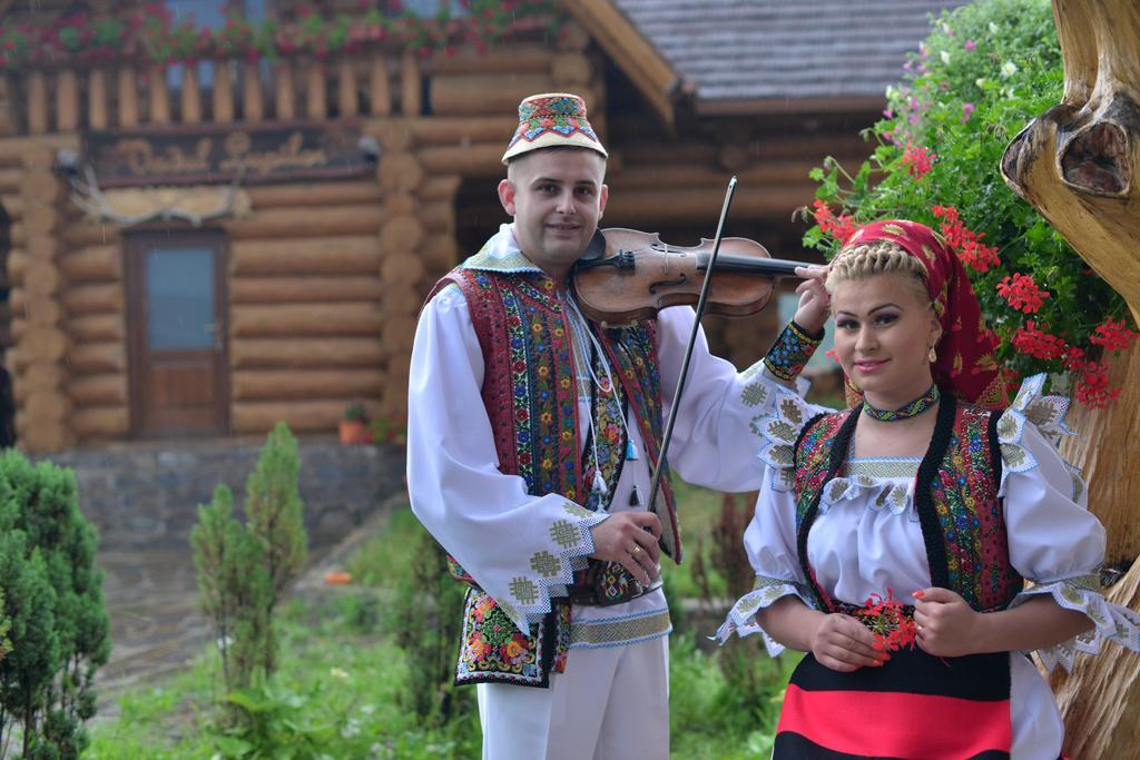 Hotel Vadul Lupilor Moisei Zewnętrze zdjęcie