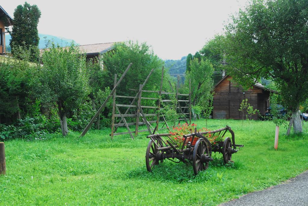 Hotel Vadul Lupilor Moisei Zewnętrze zdjęcie